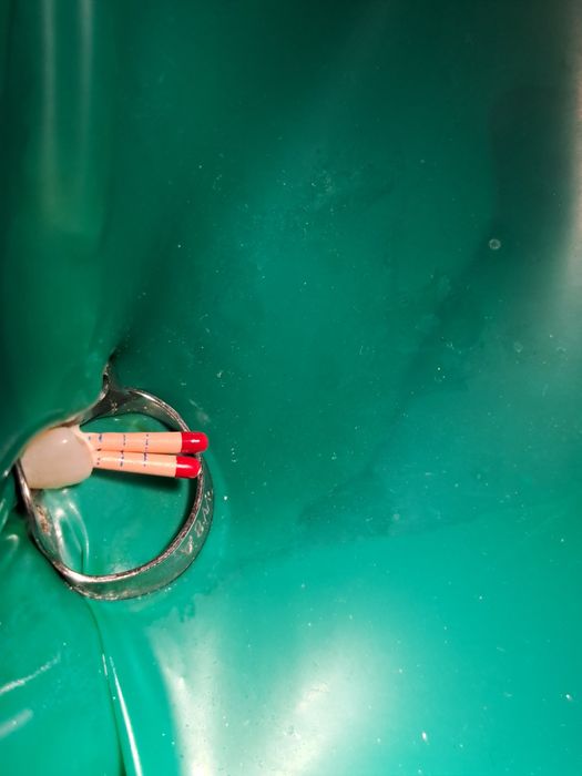 Endodoncija: guta-perka poeni pre definitivnog punjenja kanala.